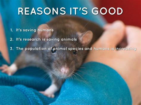 positive impacts of animal testing|reasons why animal testing is bad.